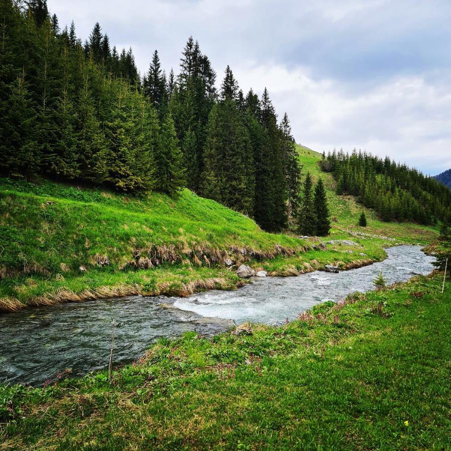 Fewo D'Rock Arosa- Center Of Nightlife By Nature Apartments Switzerland المظهر الخارجي الصورة
