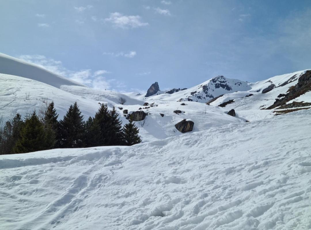 Fewo D'Rock Arosa- Center Of Nightlife By Nature Apartments Switzerland المظهر الخارجي الصورة