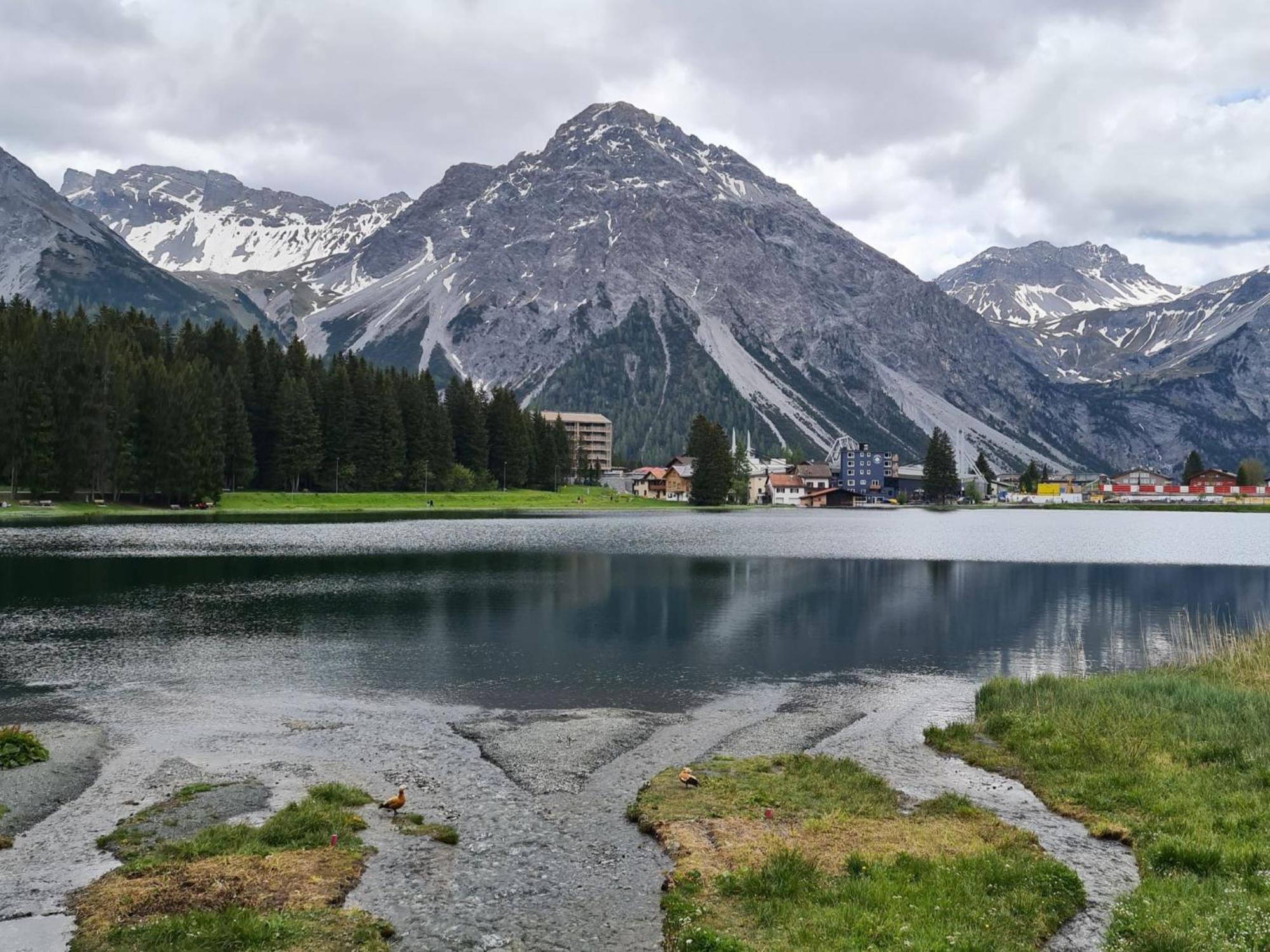 Fewo D'Rock Arosa- Center Of Nightlife By Nature Apartments Switzerland المظهر الخارجي الصورة